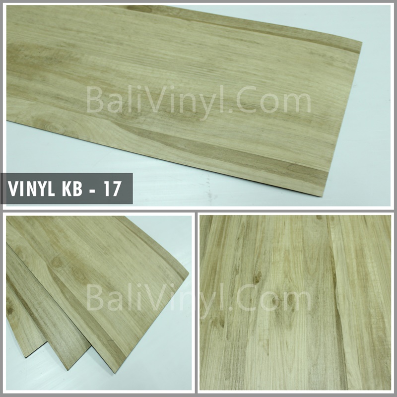 Vinyl Kang Bang di Bali